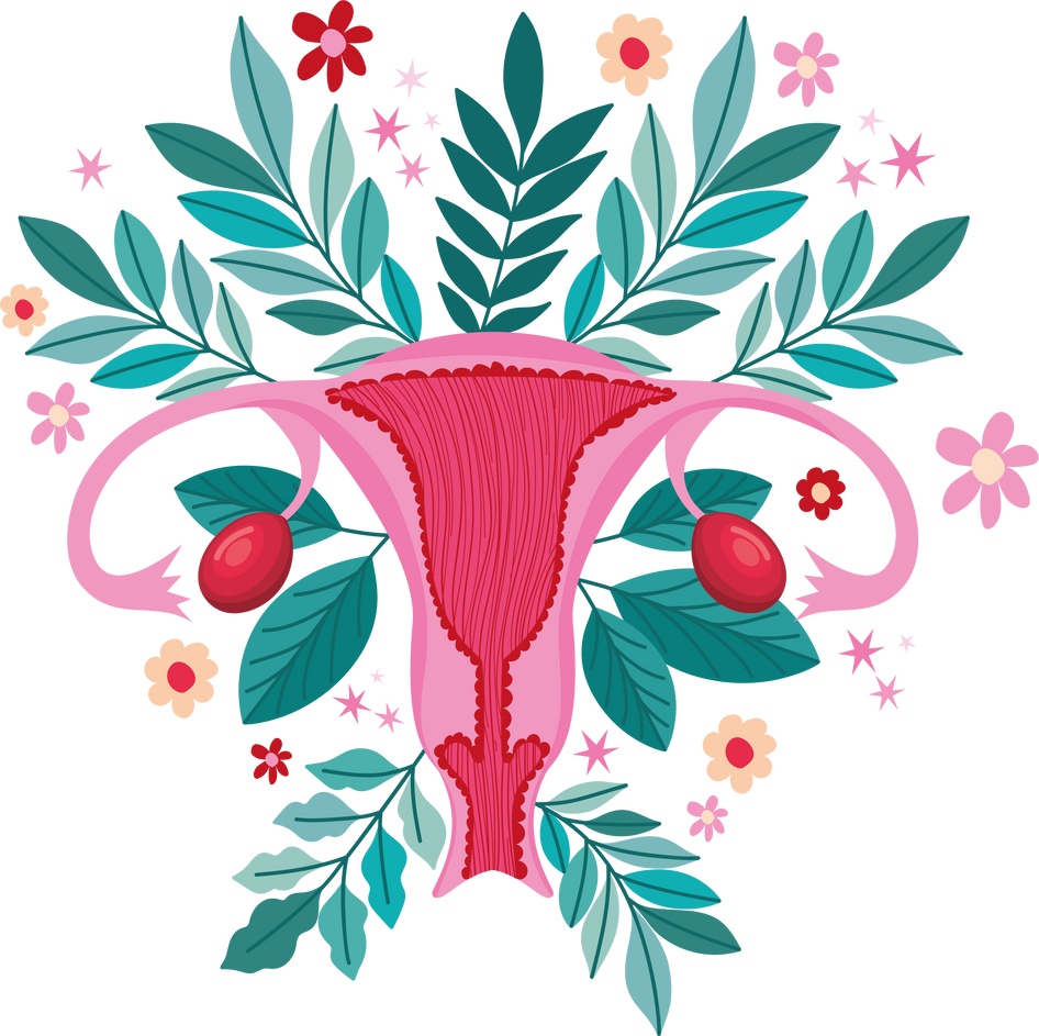 pink uterus illustration